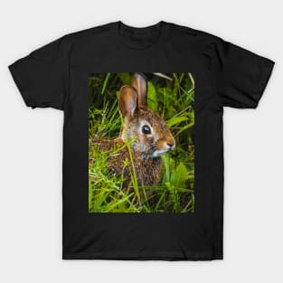 Cute Wild Bunny Hiding in the Grass Photograph T-Shirt